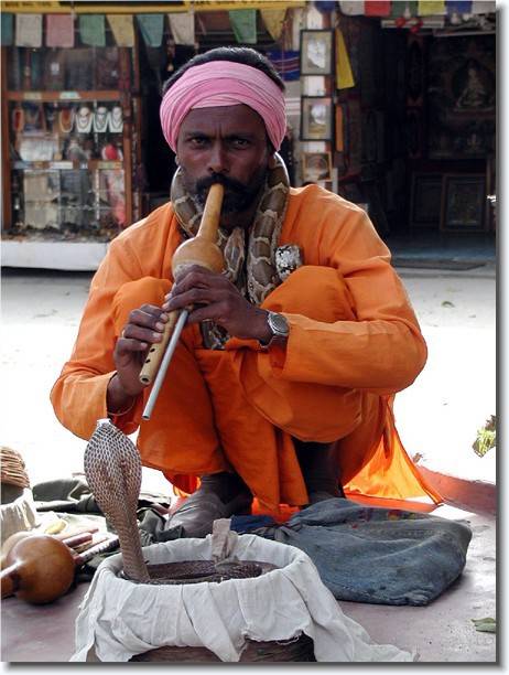 Click for the original image